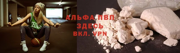 стаф Балахна