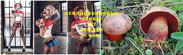 стаф Балахна
