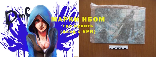 стаф Балахна