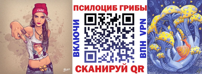 Псилоцибиновые грибы прущие грибы  дарнет шоп  Губкинский 